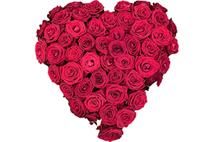 Blommor till begravning Nykvarn - Beställ blommor till begravning - Fyllt blomsterhjärta röda rosor