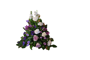 Blommor till begravning Nykvarn - Beställ blommor till begravning - Låg sorgdekoration vita nejlikor rosa r