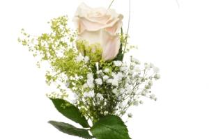 Blommor till begravning Nykvarn - Kondoleansblommor - handbukett