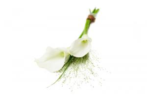 Blommor till begravning Nykvarn - Kondoleansblommor - kondoleansblomma-handbukett